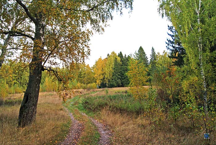 Осенние краски