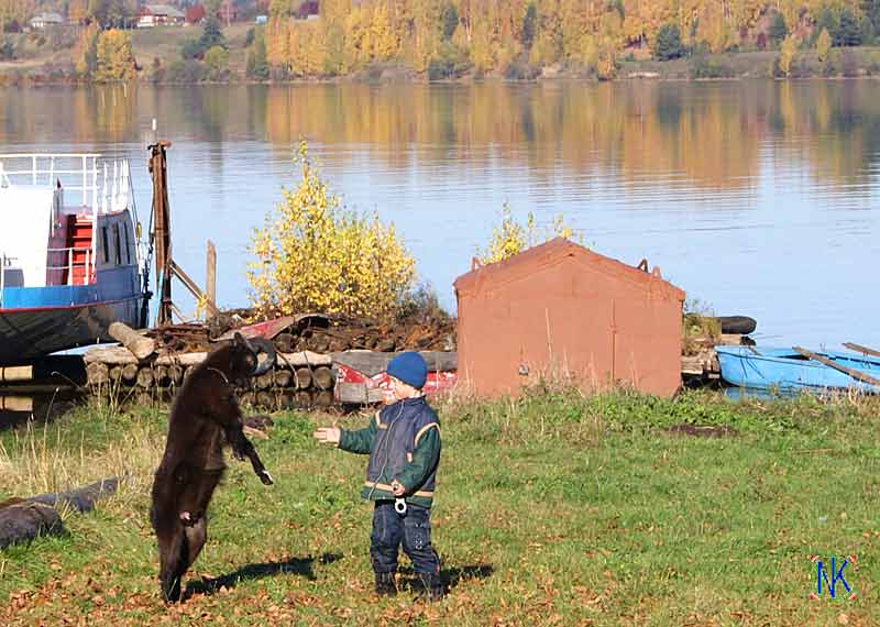 Молодеж резвится