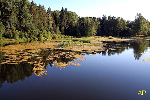 Водная гладь