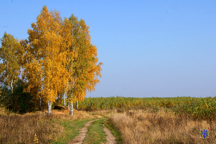 На пути к заливу